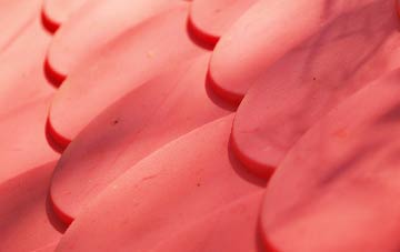 Balmashanner plastic roof costs