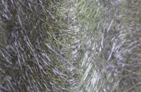 Balmashanner fibreglass roof work